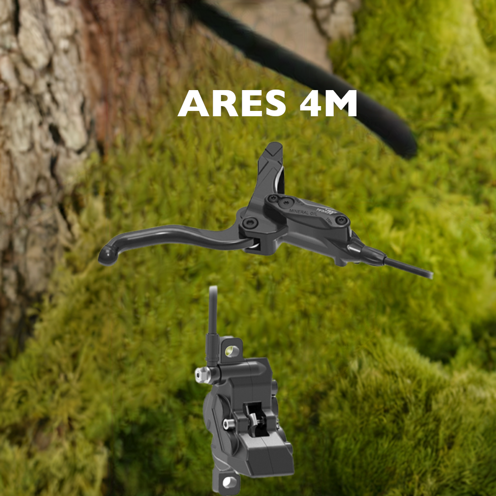 AREAS 4M